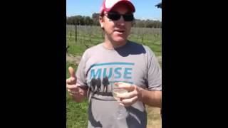 Sommelier Scavenger Hunt Australia: Team Hunter Valley with Adrian Sparks on Lovedale