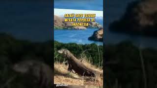 Pulau Komodo #faktaviral #faktaunik #faktamenarik #faktales