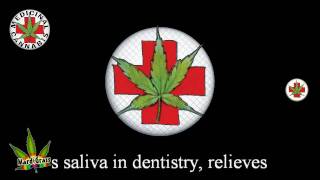 Medical Marijuana HD