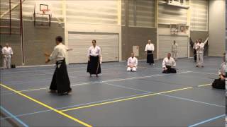 Aikido Techniques TAKN; Jo suburi nr. 19