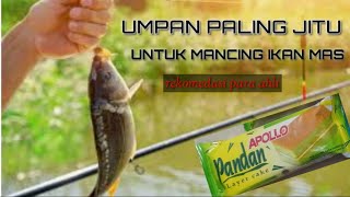 UMPAN PALING JITU UNTUK MANCING IKAN MAS || UMPAN PELET IKAN MAS