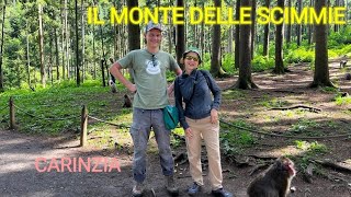 La Carinzia che non ti aspetti: il Monte delle Scimmie