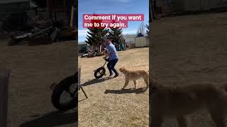 Trying out the unicycle. #unicycle #circus #wheel #onewheel #acrobatics