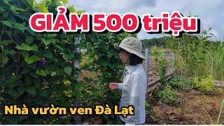 Đất ven Đà Lạt| Nhà đẹp, cây ăn trái ngon quá xá là mê!