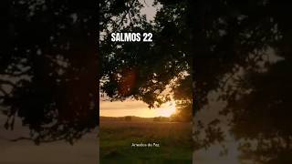 Salmos 22 - O Senhor é meu pastor, nada me faltará!