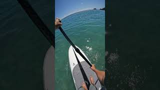 SUP at Six Senses Fiji!! - Dan Sinclair RAW #surfing #fiji #sixsensesfiji #fyp #shorts