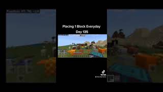 Placing 1 Block Everyday In Minecraft Day 135