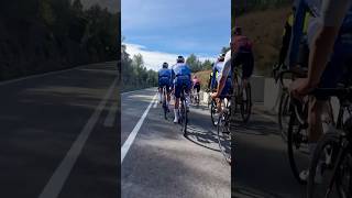 When Team SD Worx & Alpecin-Deceuninck become your #cycling companions for a couple of minutes 😅