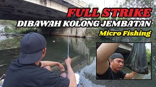 Micro Fishing Mancing Wader Di Bawah Jembatan Full Strike Wader Kepek@rekanmancingjogjakarta