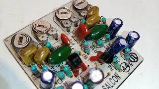 Bass Treble Board Connection / working and checking with diagram