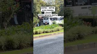 Detik - detik Kids Panda Lewat #shortvideos #video #busmania #viral #bussimulatorindonesia