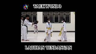 taekwondo girls | kick training #taekwondo #taekwondogirl