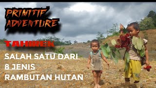 PRIMITIF ADVENTURE ‼️TAHIREK Adalah salah satu dari 8 jenis rambutan hutan Kalimantan