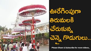 Chennai Special Umbrellas Reach Tirumala For Garuda Vahana Seva