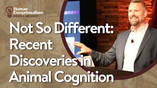 Not So Different: Recent Discoveries in Animal Cognition