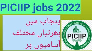 PICIIP Punjab government jobs 2022/EarningWorld