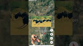 Scary ant 🐜the real location on Google maps and google earth 🌍 #shots #earth journey