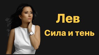 Лев. Сила и тень знака зодиака.