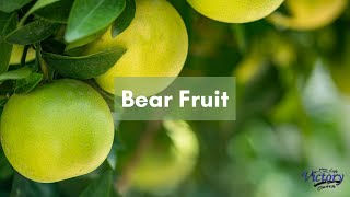 Pastor Scott Anderson: Bear Fruit 8/25/24 PM