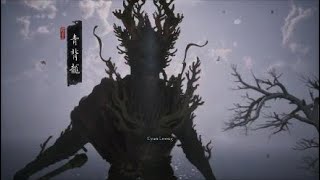 Cyan Long(NG)+Cutscene+Build_No Hits/Gourds_Black Myth:Wukong PS5_4K HD