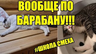 Приколы мемы  2022-2023 каждыйпроиграет!