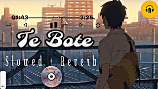 “Te Bote (Slowed + Reverb) | Ozuna | Chill Vibes Remix for Relaxation”