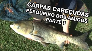 CARPAS CABEÇUDAS - PESQUEIRO DOS AMIGOS - PARTE 1