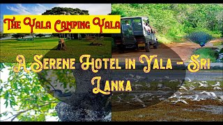 ✅  🌞  🌈   👌  Discovering Yala's Beauty: The Yala Camping Expedition