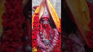 Morning with Maa Kali🙏Maa Tara pujo✨ #youtube #instagram #viral #youtubeshorts #motivation