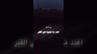 اللهم ثبتنا عند السؤال أستغفر الله العظيم وأتوب إليه #الجزائر #القرآن_الكريم