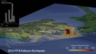 Simulation of the 2016 Mw7.8 Kaikoura earthquake and response of buildings in Wellington