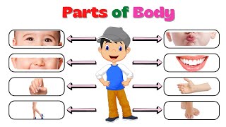 Learn Parts Of Body Name | Parts of Body Name in English | Human Body Parts | Basic English Learning