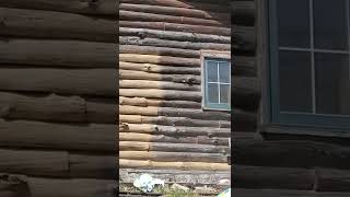 Restoring log homes with Dustless Blasting #sandblasting #cleaning