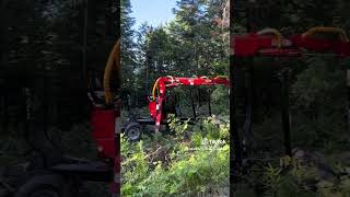 Chargeuse à bois 130HD pour chevaux