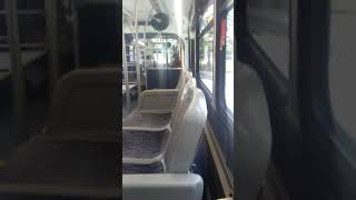 Boston Logan International Airport shuttle bus (Blue bus)