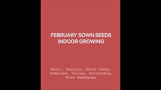 FEBRUARY INDOOR GROWING | Potager | Small Space | Zone 8b