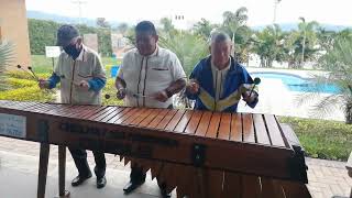 Pirulino en Marimba