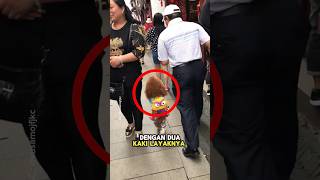 Anjing Berjalan Dua Kaki Dengan Tas Sekolah 😮