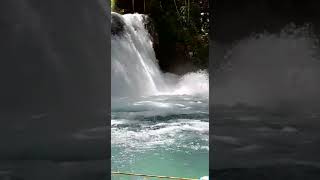 Best Excursions in Jamaica