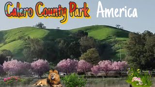 Calero County Park |San Jose |USA