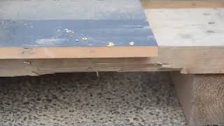 Wood Cutting   Laminated MDF