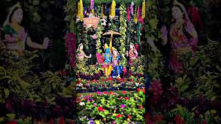 Prem mandir vendravan  #shortfeed #shortsviral