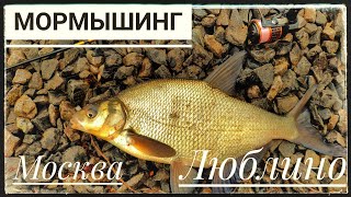 Мормышинг ! Городская рыбалка