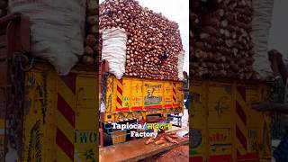 Sabudana factory me kaise banate hain #factory #shortvideo