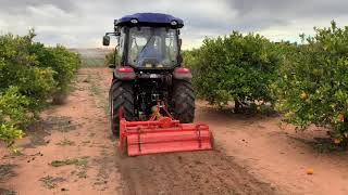 TRIDENT tractor with rotary hoe