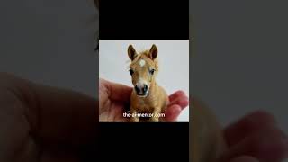 Cute little baby horse in a hand #shorts