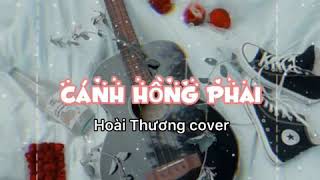 Cánh hồng phai - Hoài Thương Cover [ Guitar ]