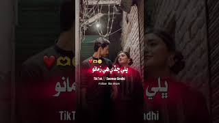 رهندس پنهنجي دلبر جو ديوانو 😘💑 #duet #shortvideos #viral #youtubeshorts #shorts