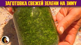 Заготовка зелени на зиму. Как засолить зелень