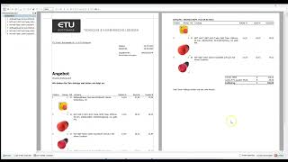 Die Highlights der Elektriker-Software "ETU Kaufmann" in 5 Minuten